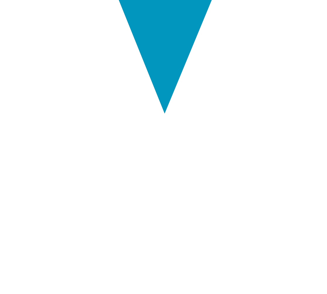 VAST triangle logo
